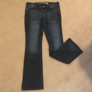 Express Stella Low Rise Bootcut Jeans